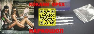 гашик Можга