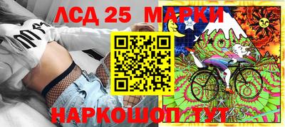 гашик Можга