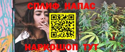 гашик Можга