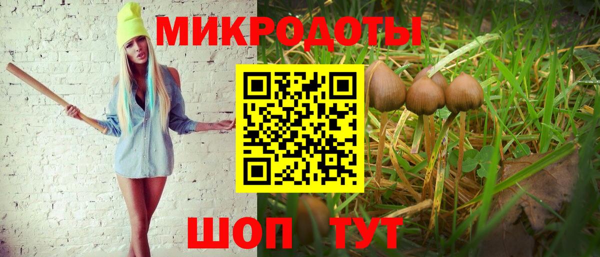 Сызрань  Псилоцибиновые грибы Psilocybe  Вход с VPN 